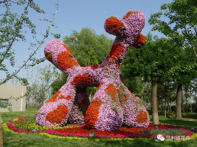 联系电话:联系地址:双桥市场:郑州市惠济区双桥花卉市场苗木区65 ,aa