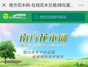 南方花木网 电商让苗木与市场步入零距离时代