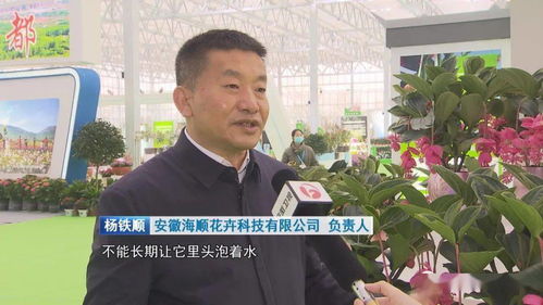 2600多种精品苗木花卉亮相合肥苗交会 花开四季绿动江淮